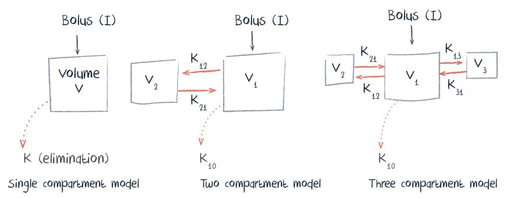 vancomycin loading dose compartment models