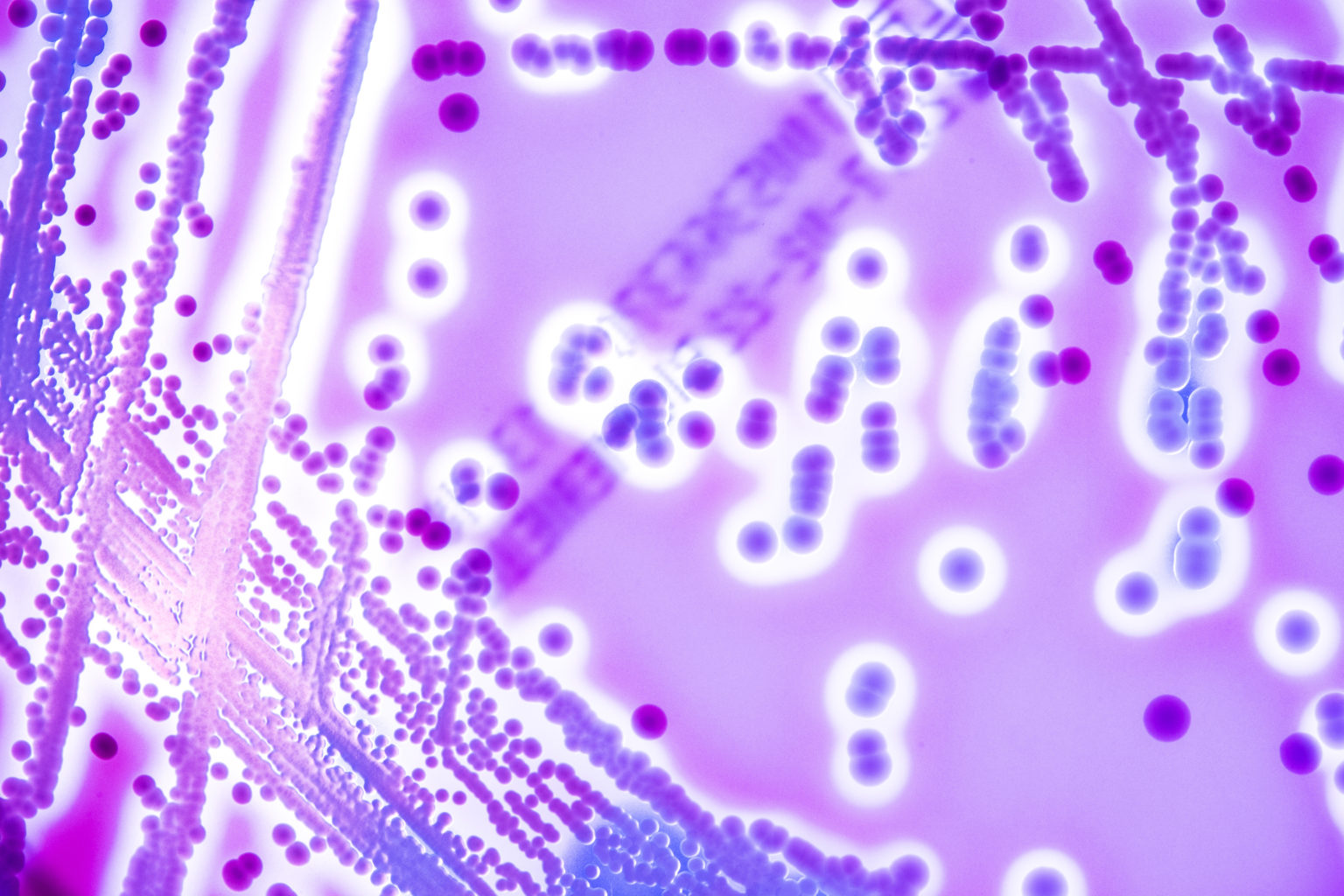 Mechanism of Action Resistance and More DoseMeRx DoseMeRx